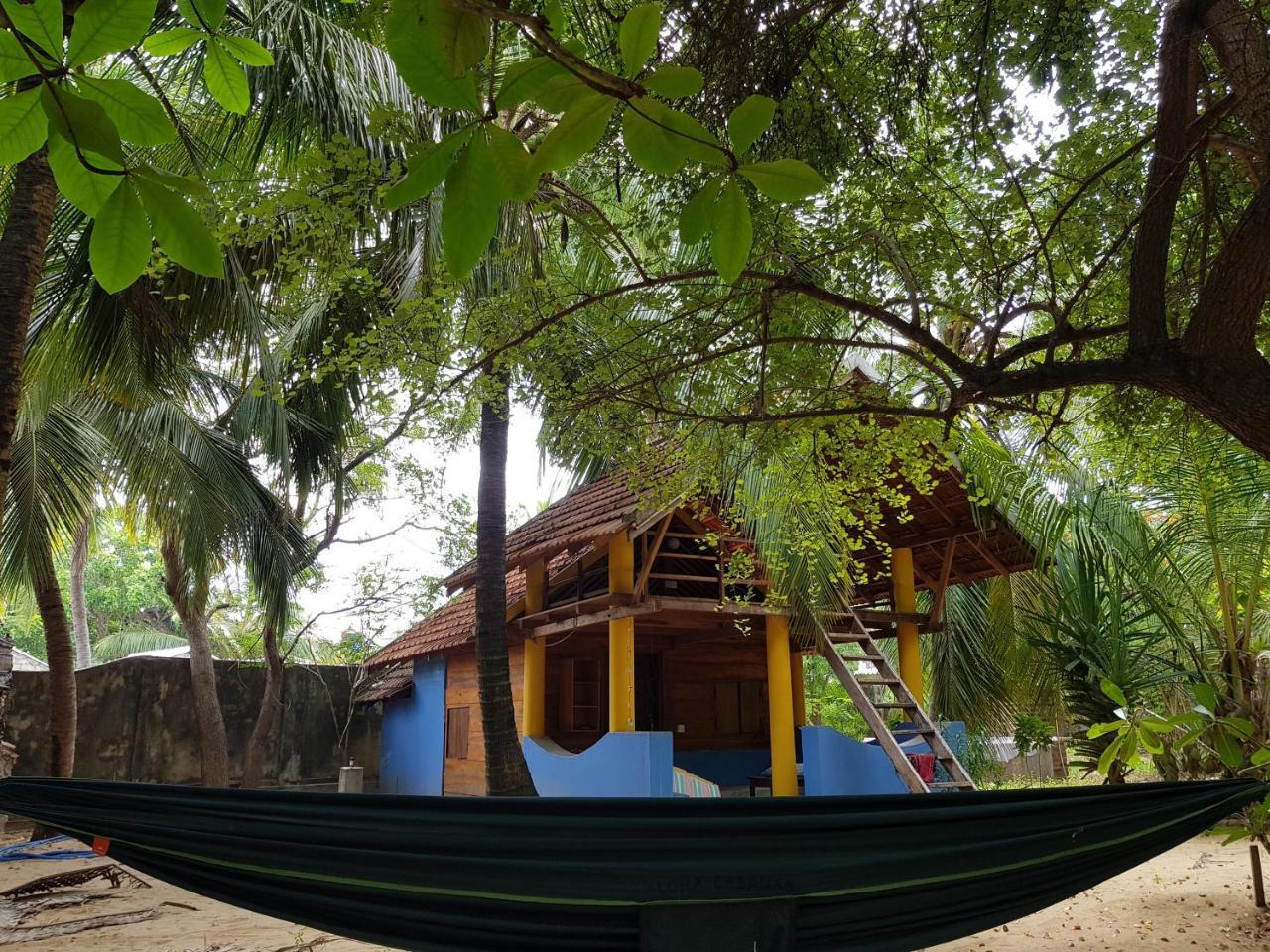 Albero Cabanas Arugam Bay Luaran gambar