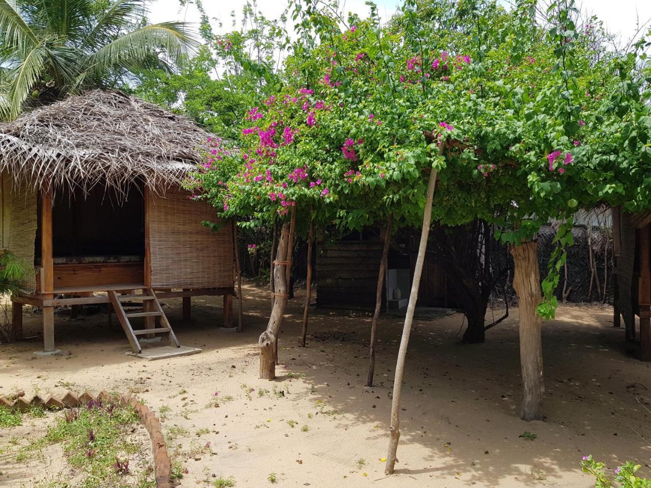 Albero Cabanas Arugam Bay Luaran gambar