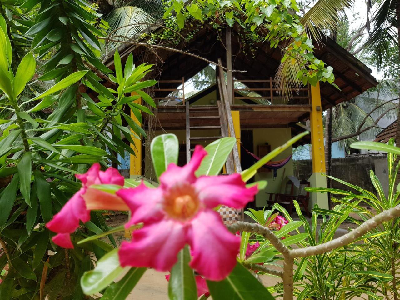 Albero Cabanas Arugam Bay Luaran gambar