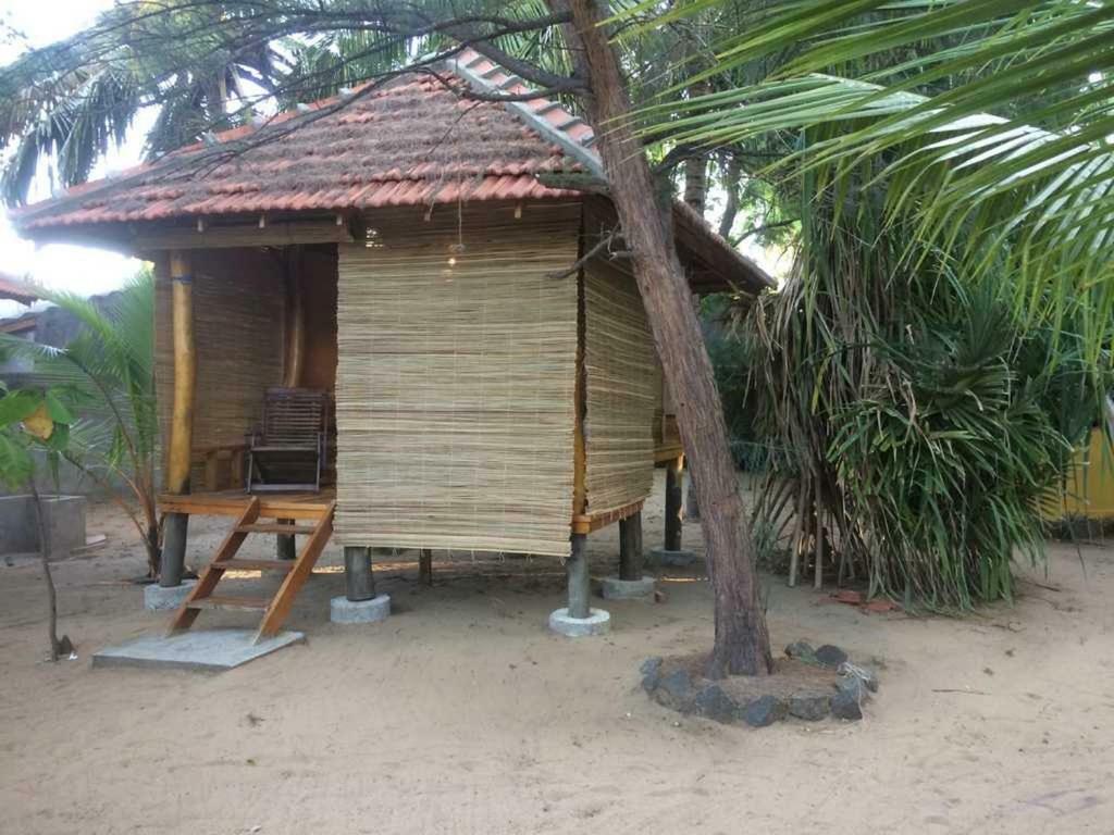 Albero Cabanas Arugam Bay Bilik gambar
